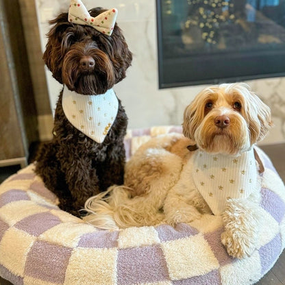 🍩 Donut Pet Nest | A sweet little nest just for your adorable pet 🐾